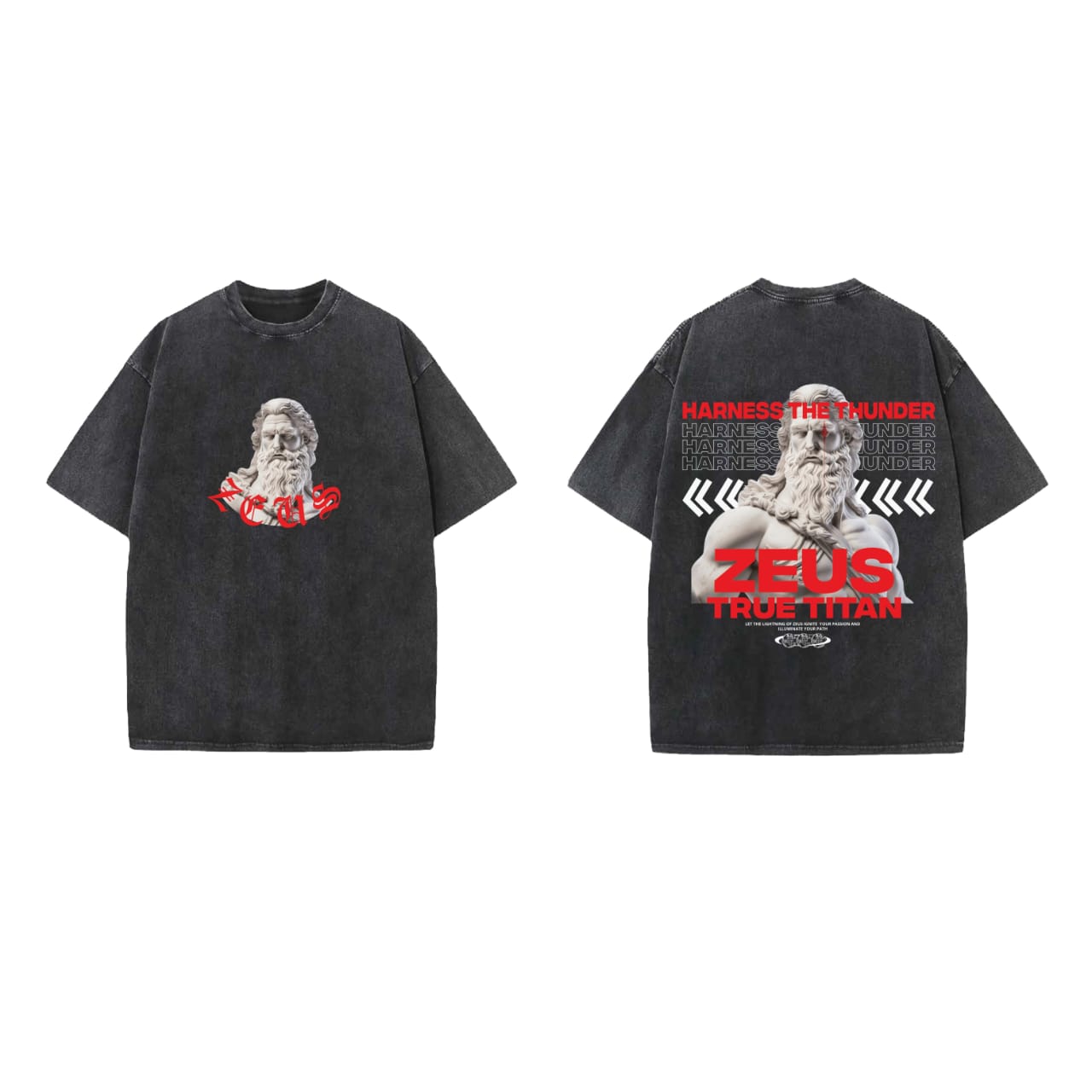 Zeus True Titan Designed Vintage Oversized T-shirt